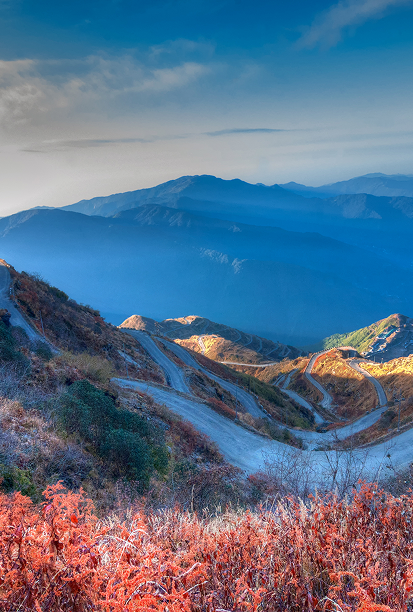 The Art of Natural Color