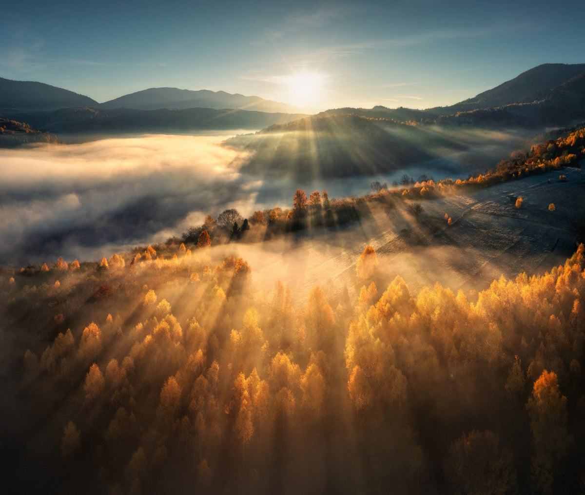 Scenery