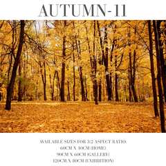 Autumn