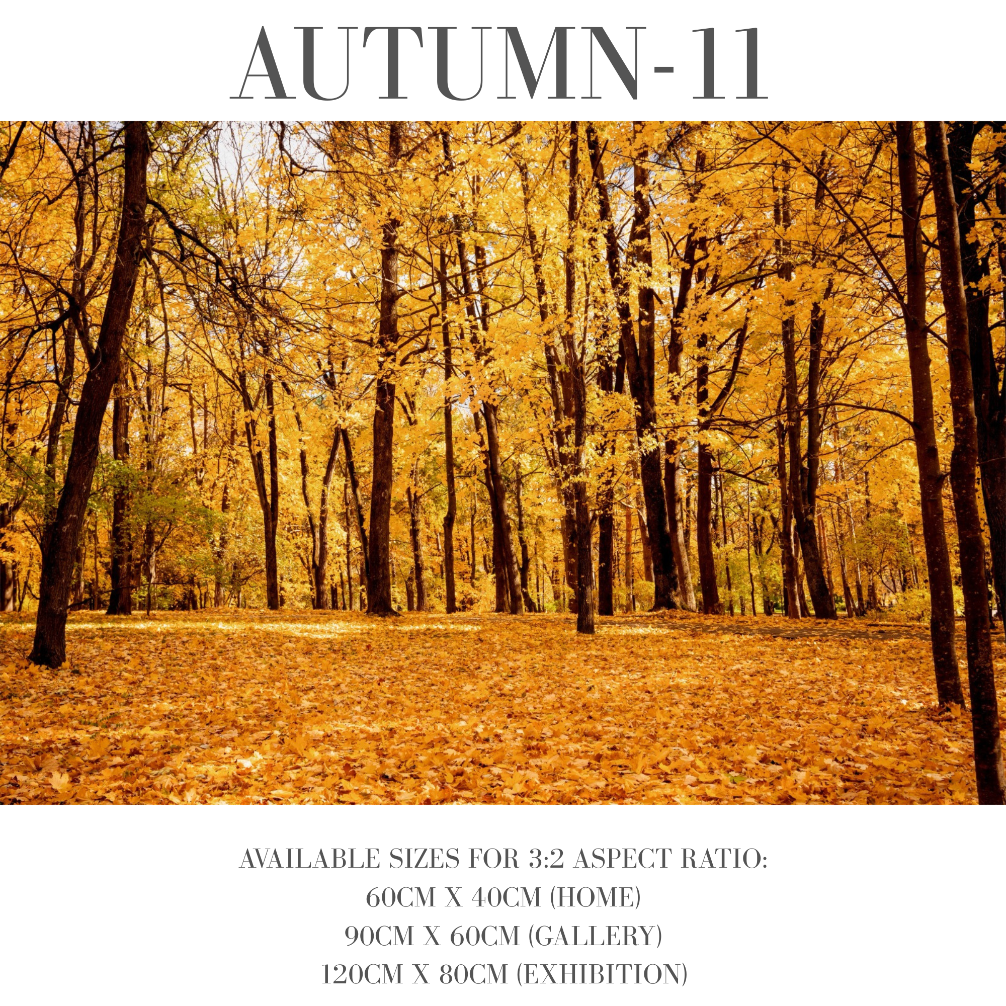 Autumn