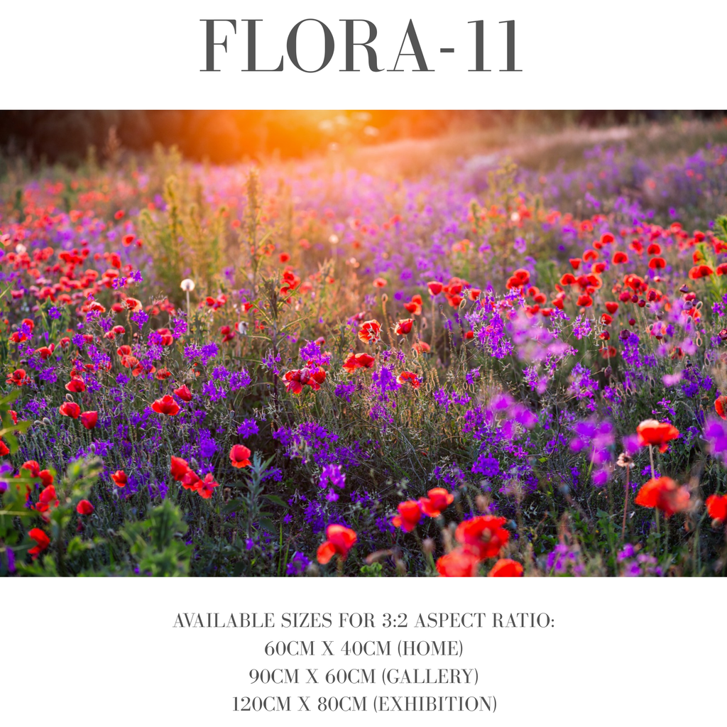 Flora