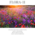 Flora