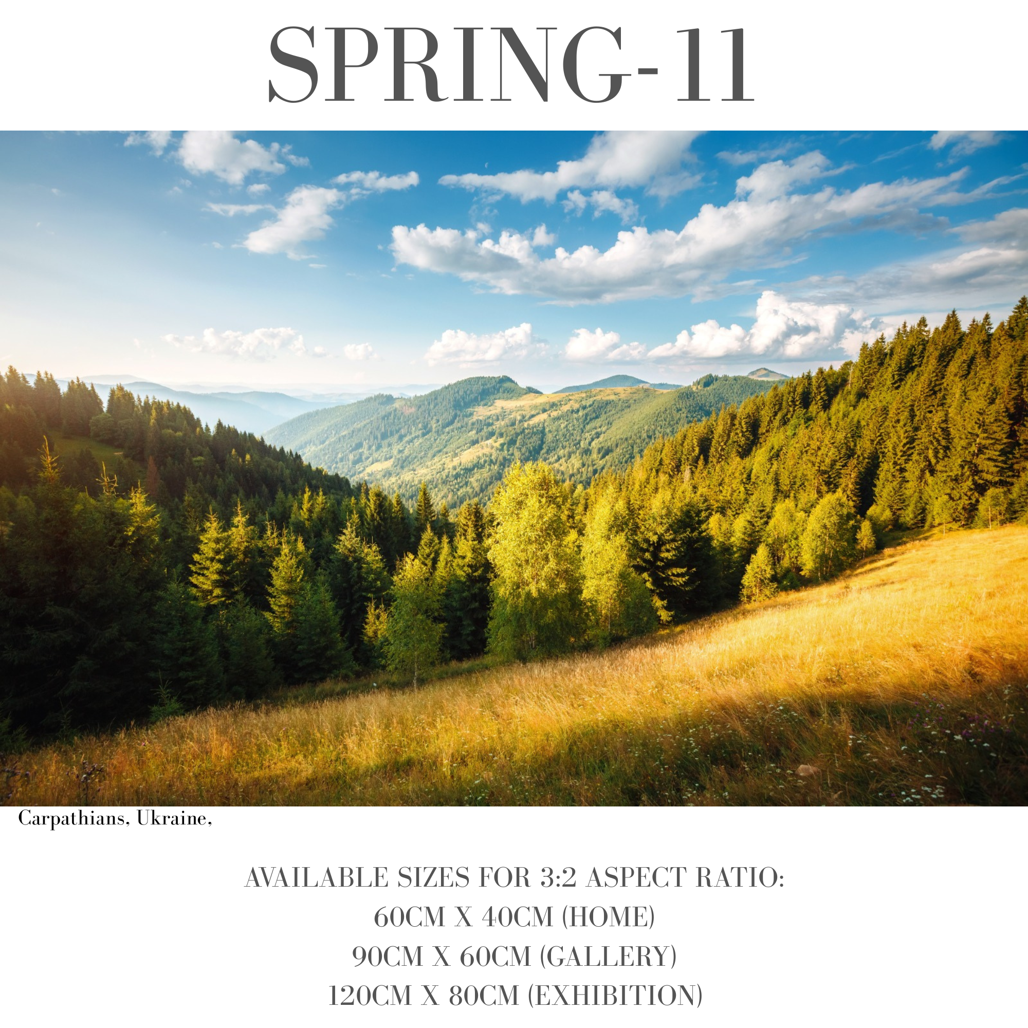 Spring