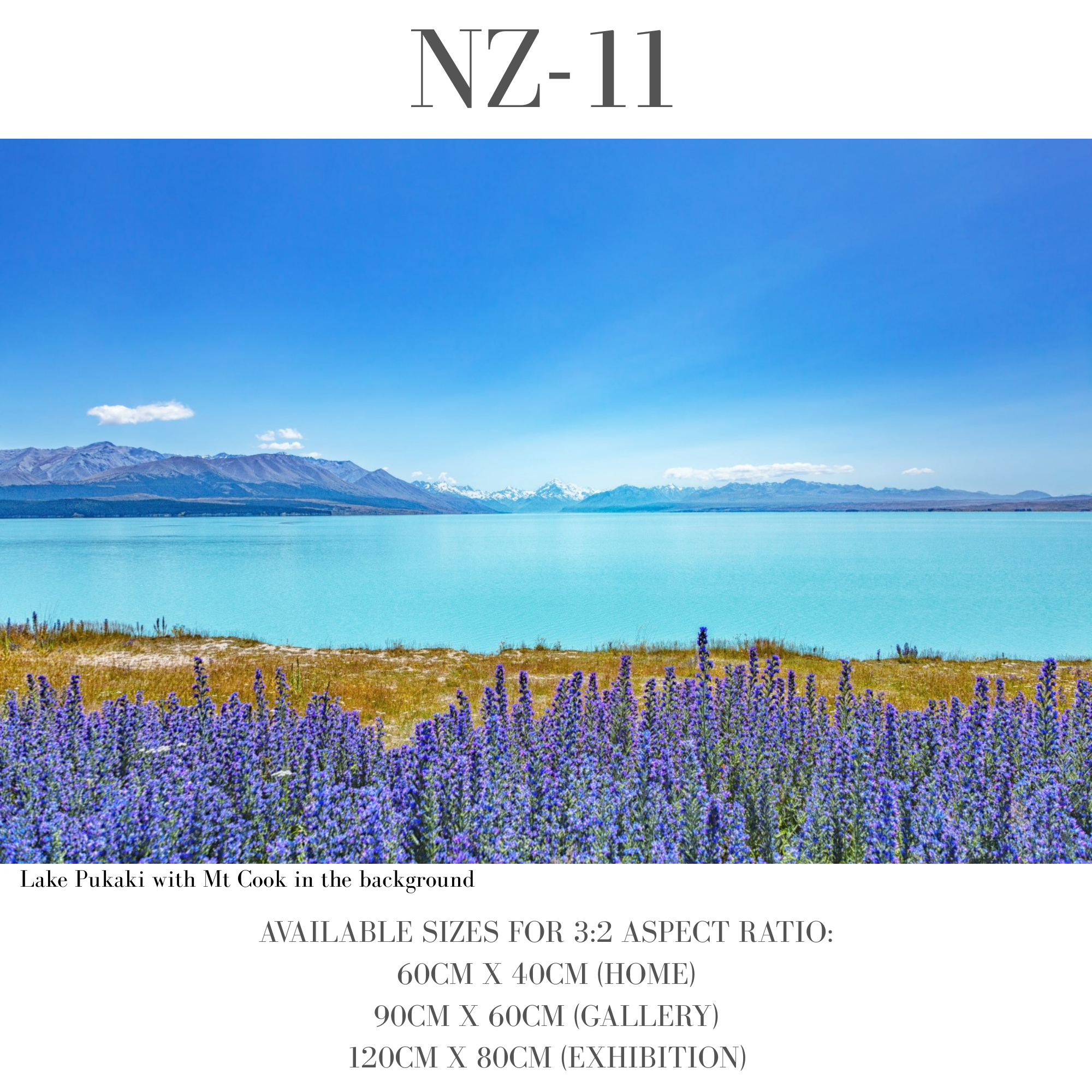 New Zealand