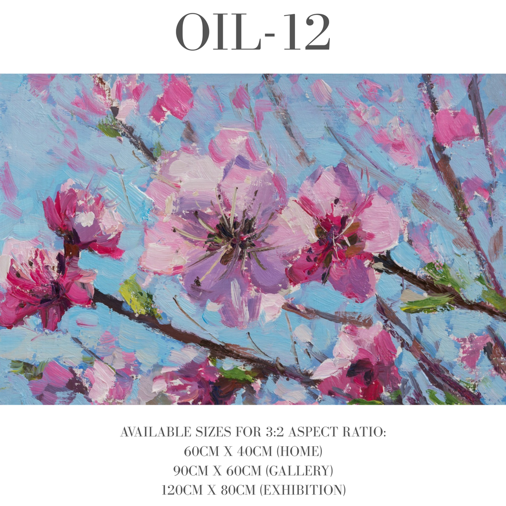 Oil Paintings