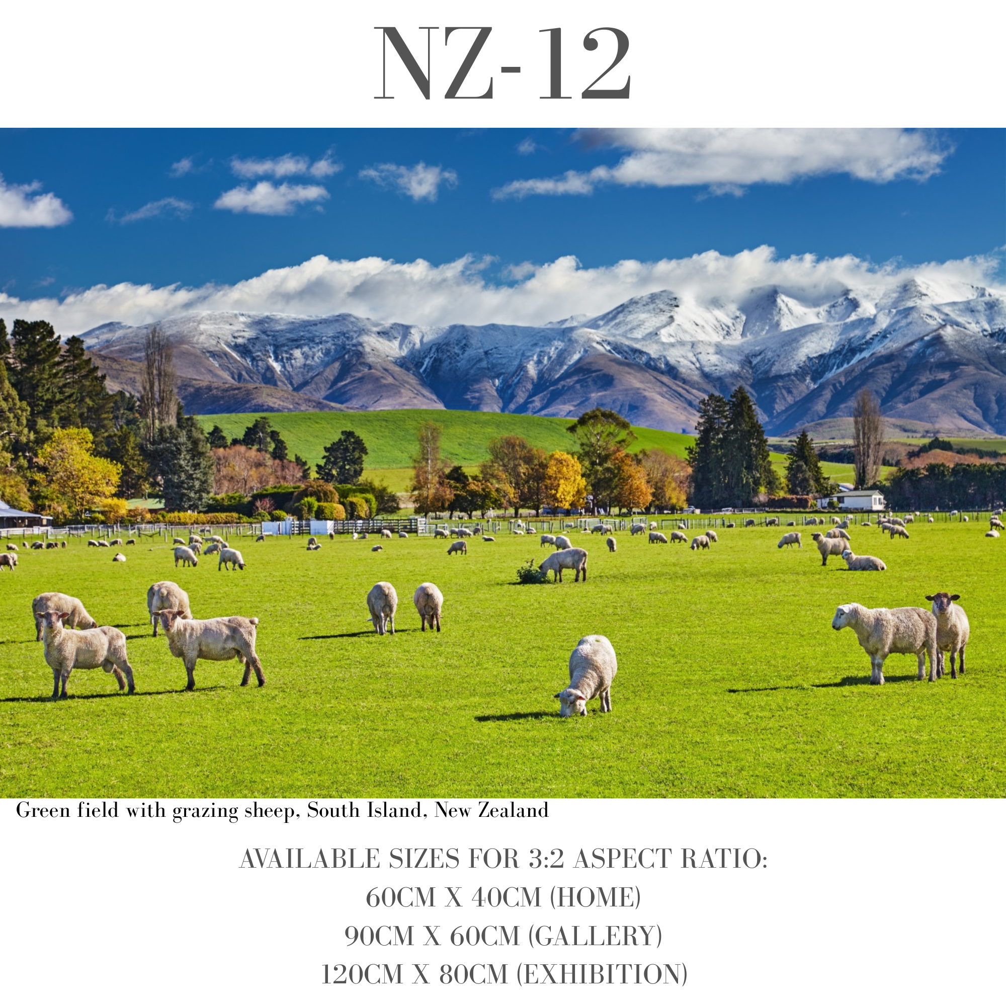 New Zealand
