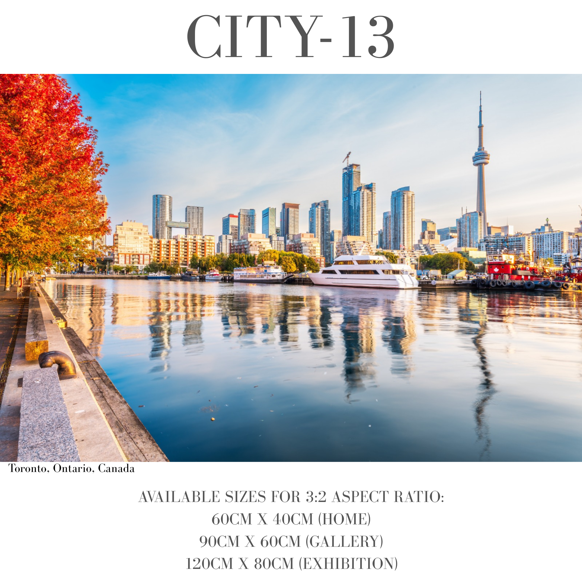 Vibrant Cities