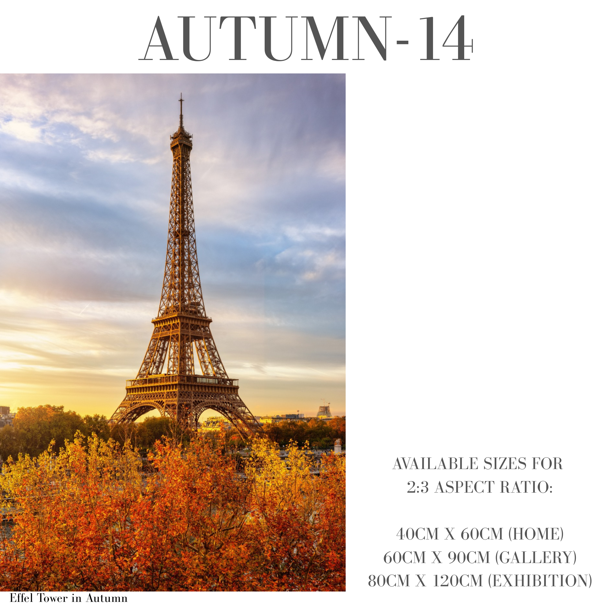 Autumn