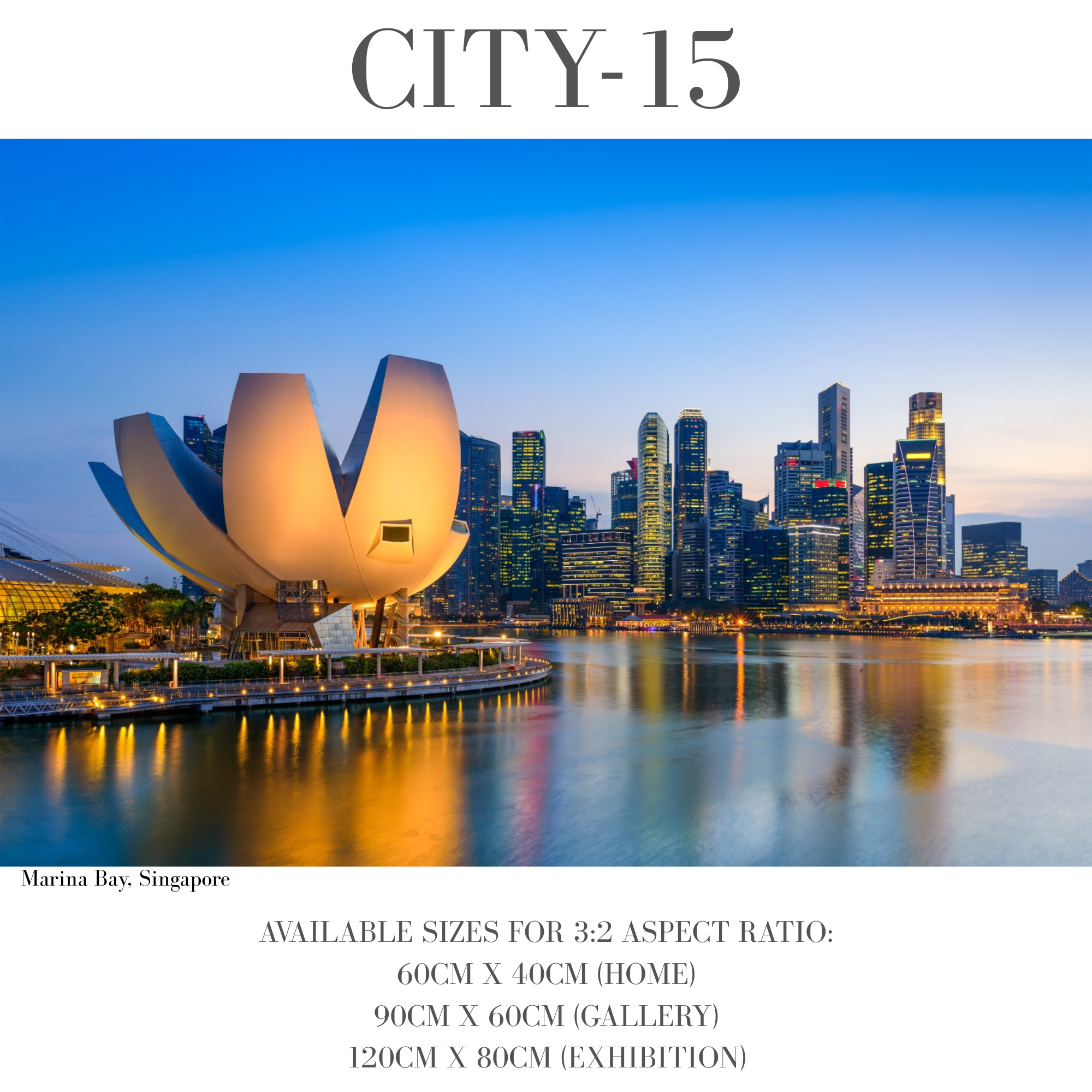 Vibrant Cities