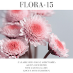 Flora