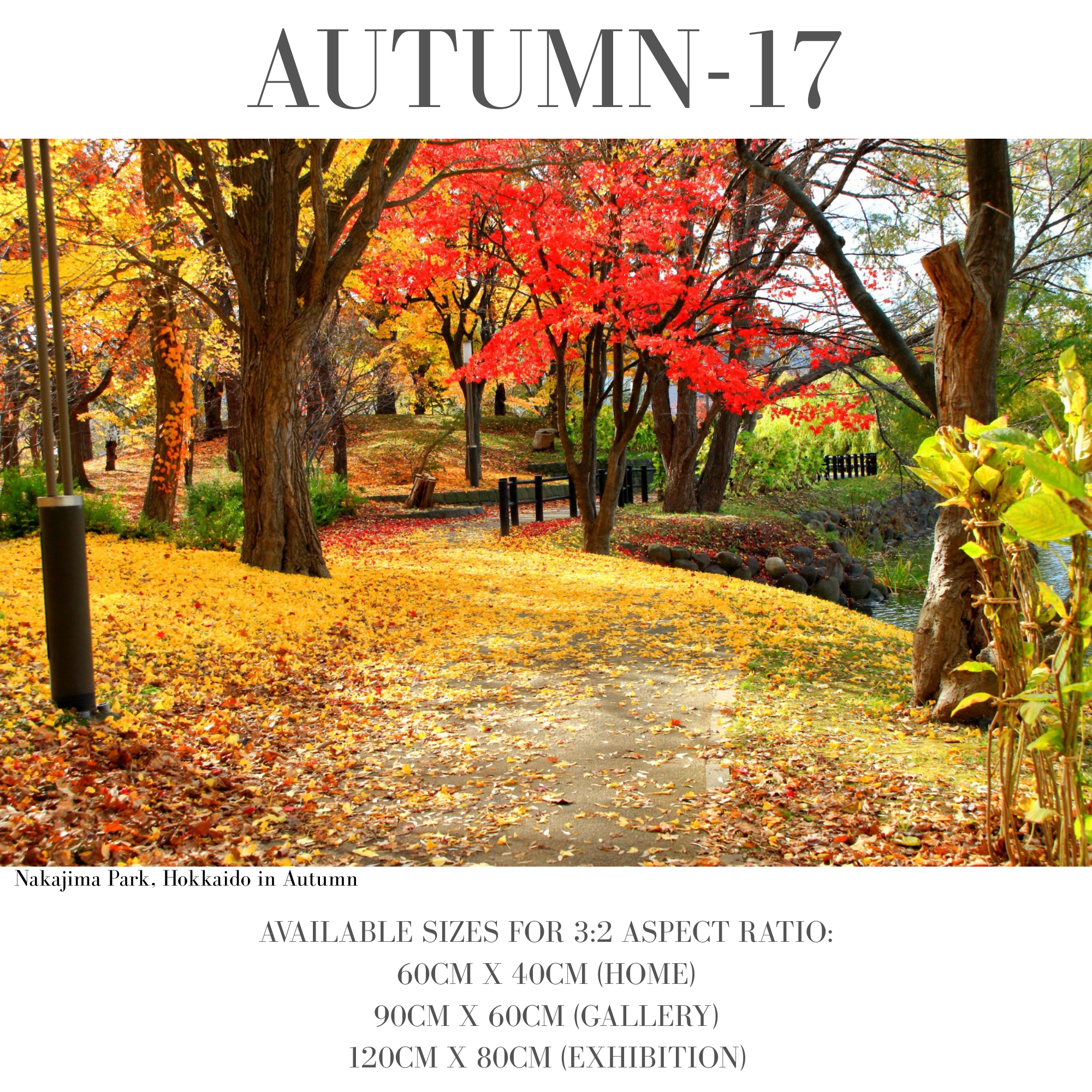 Autumn