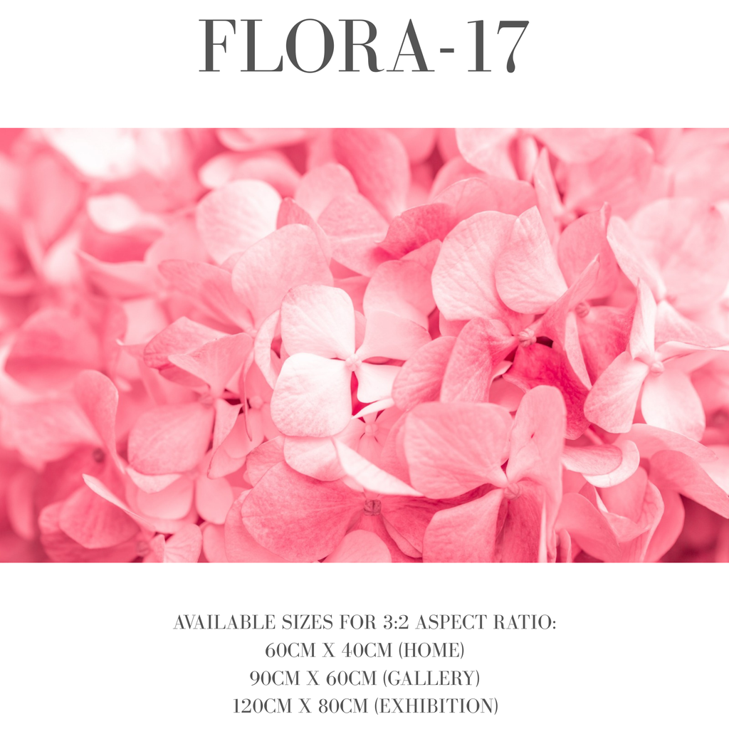 Flora