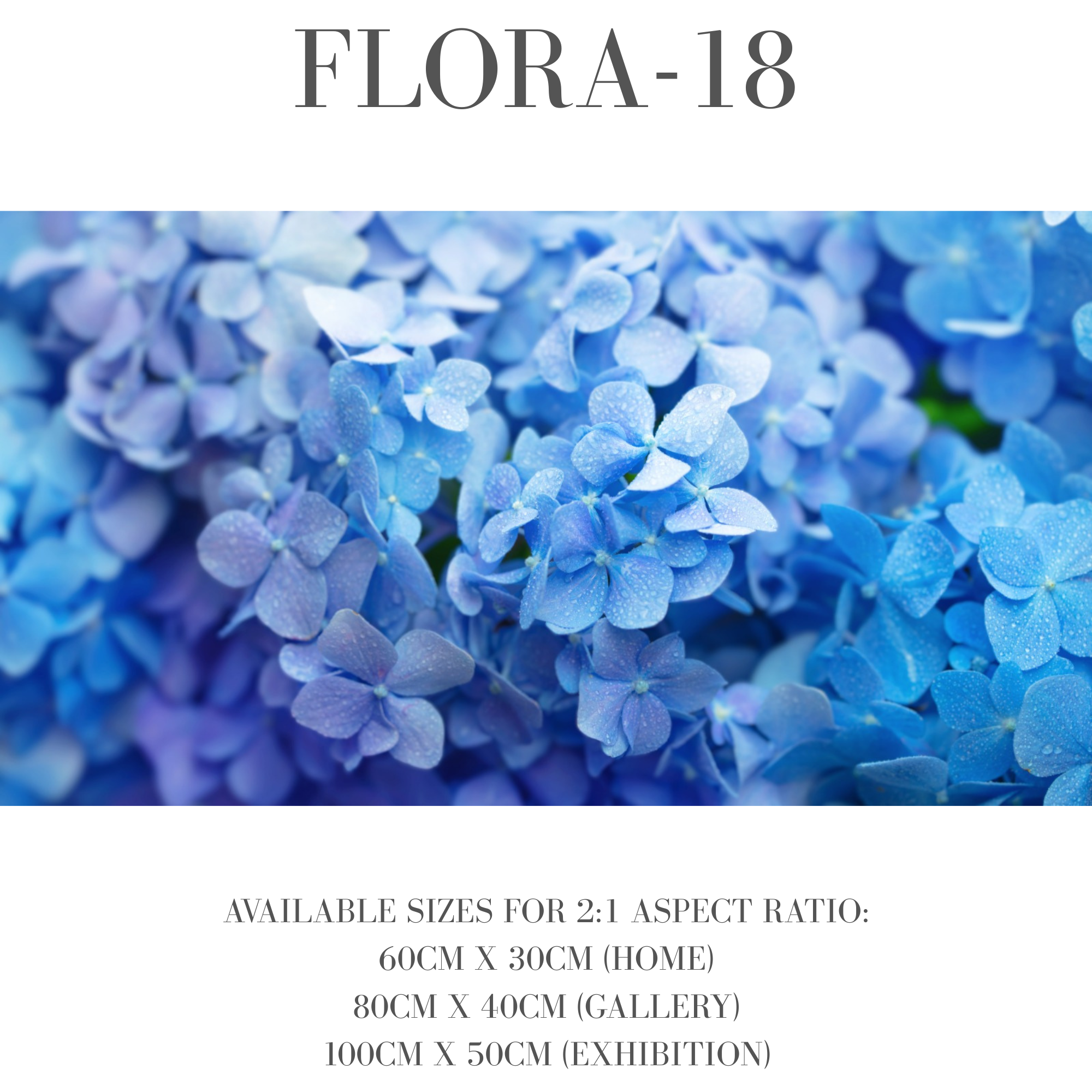 Flora