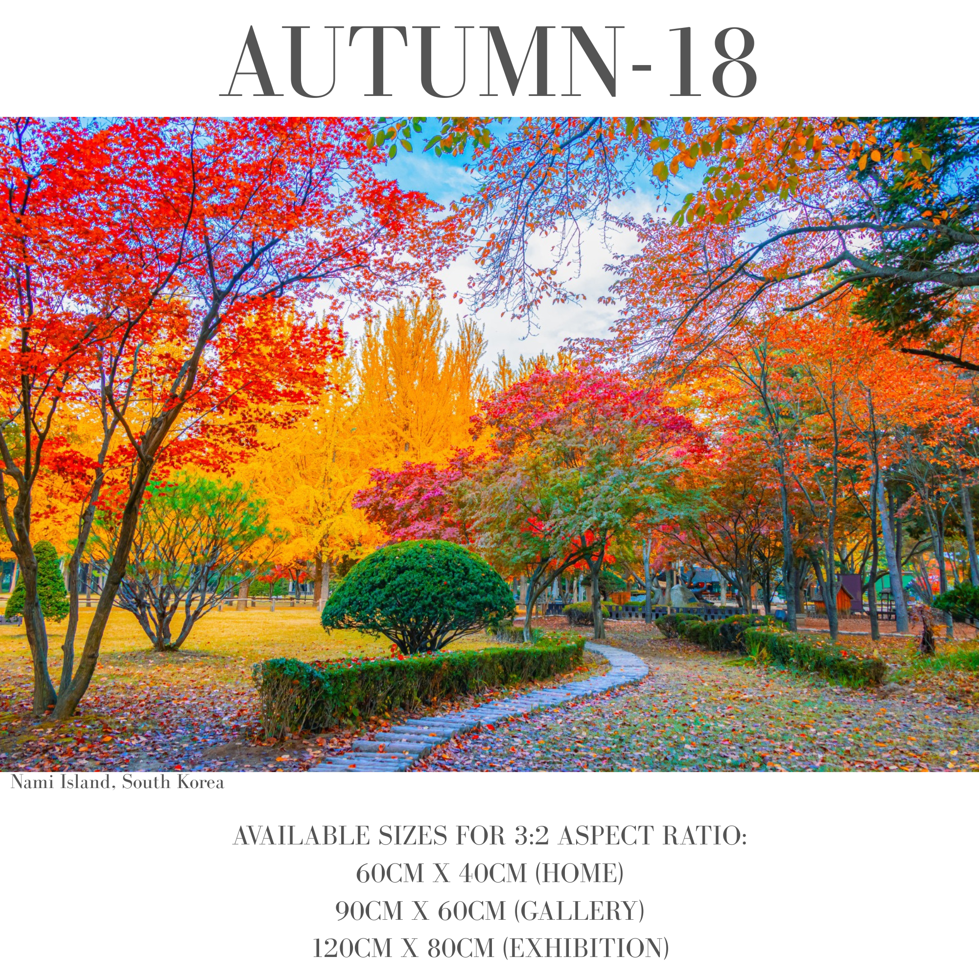 Autumn