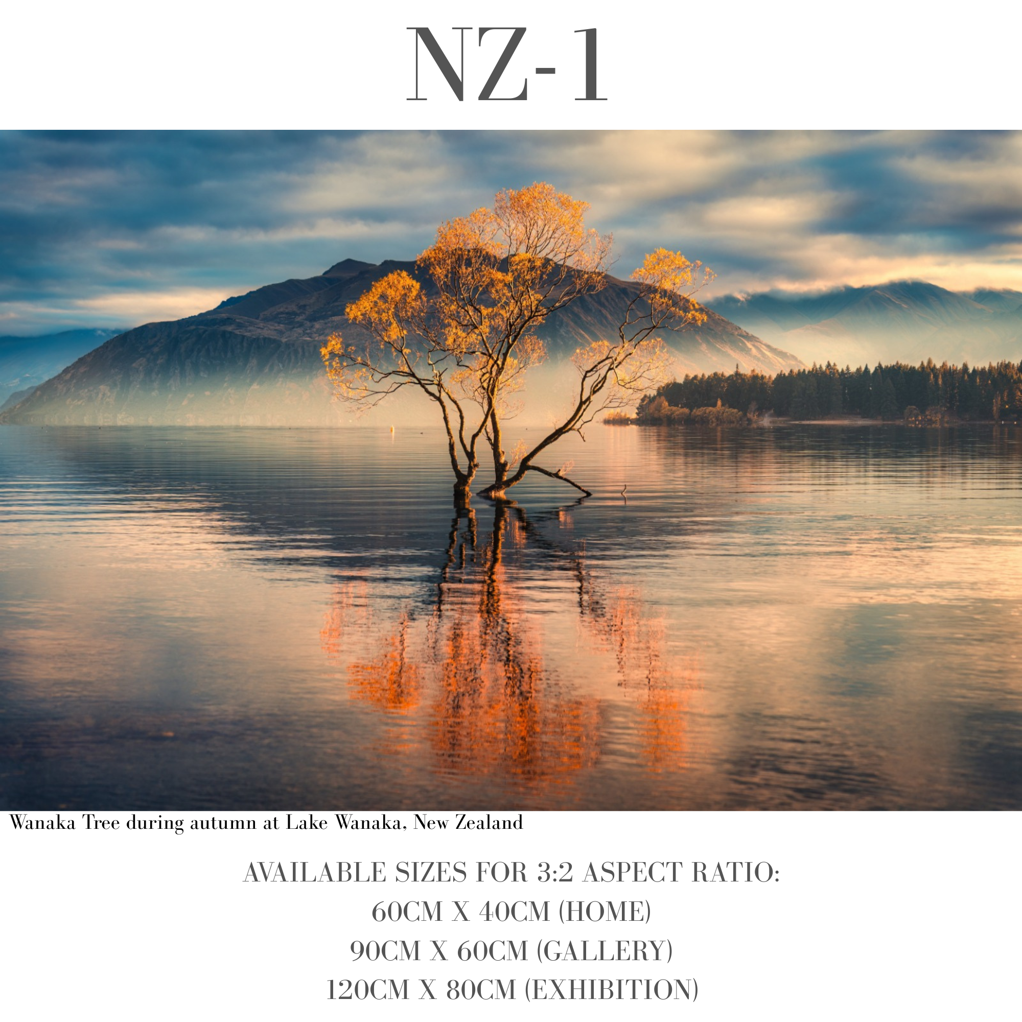 New Zealand