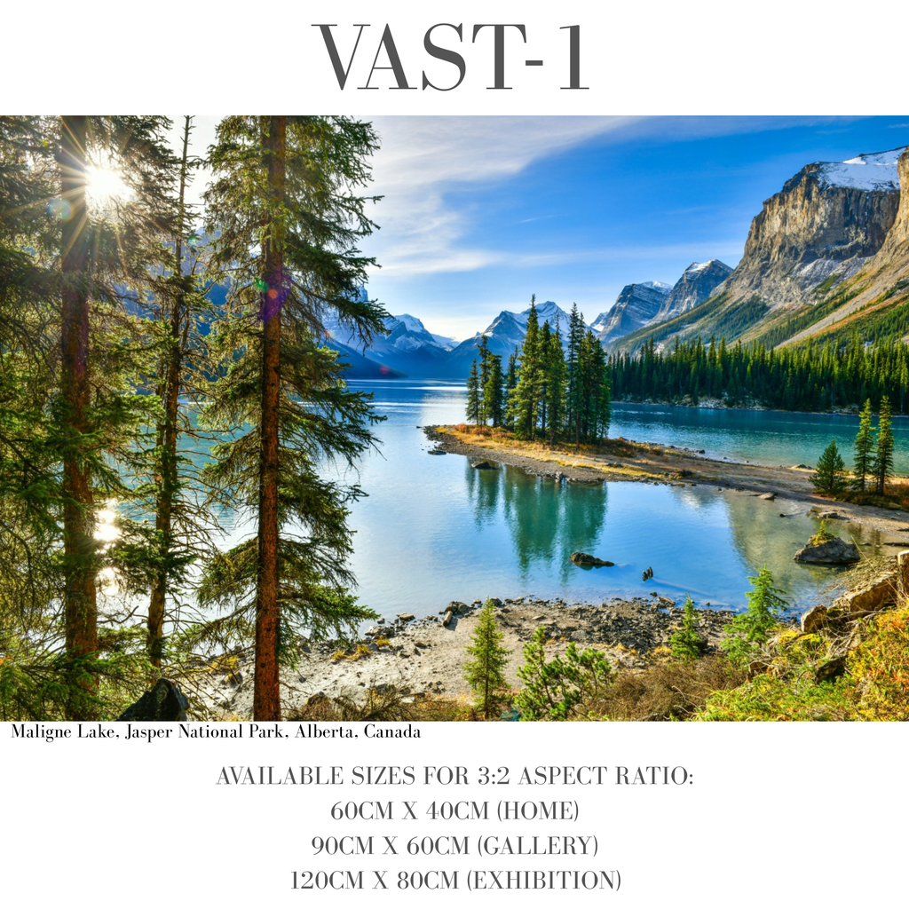 Vastness