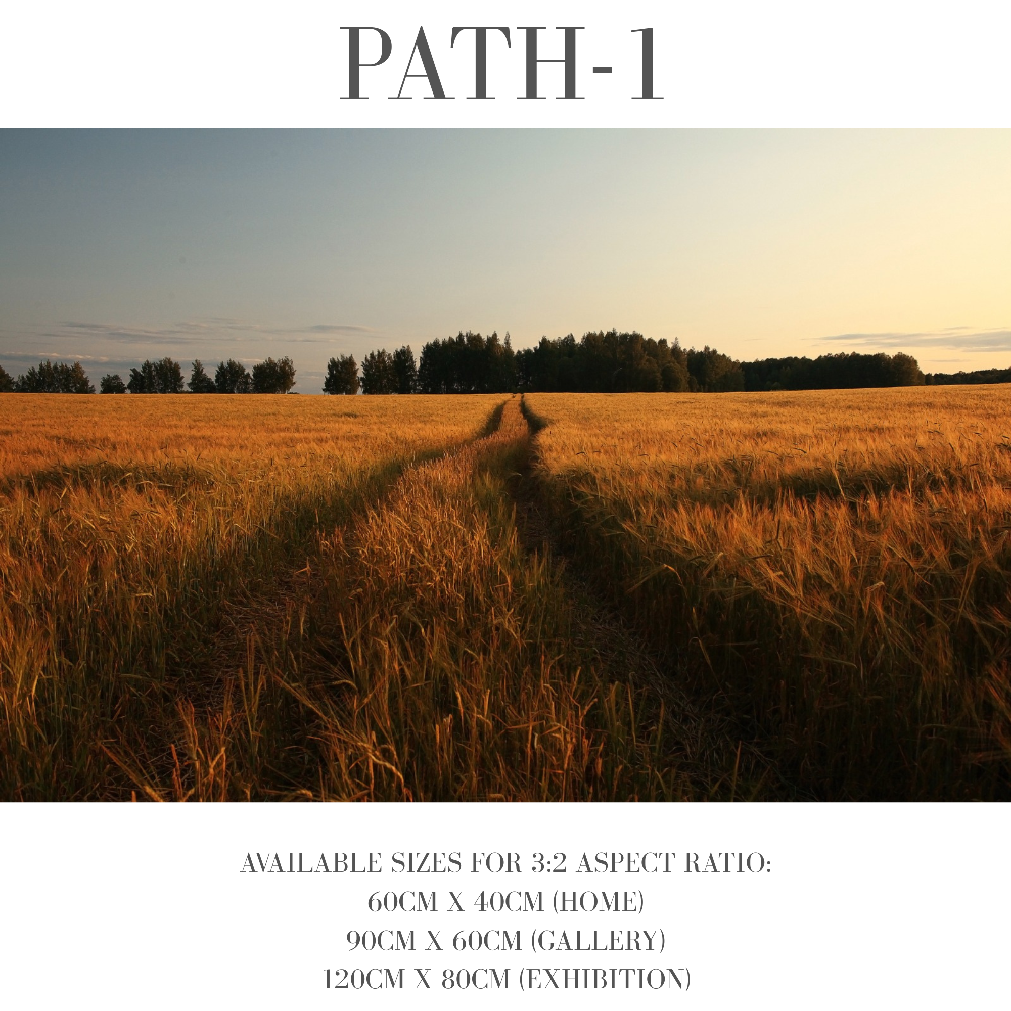 Path