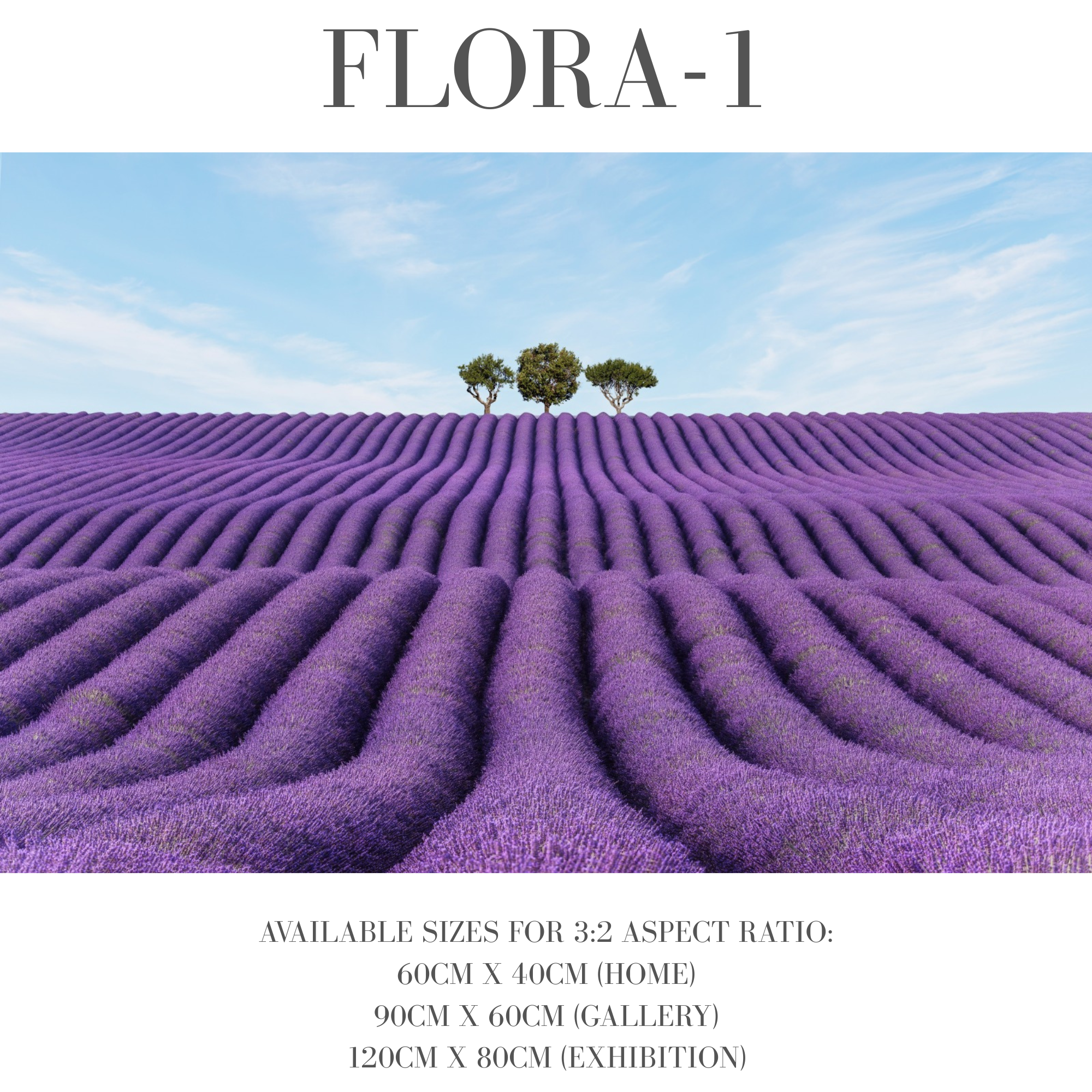 Flora