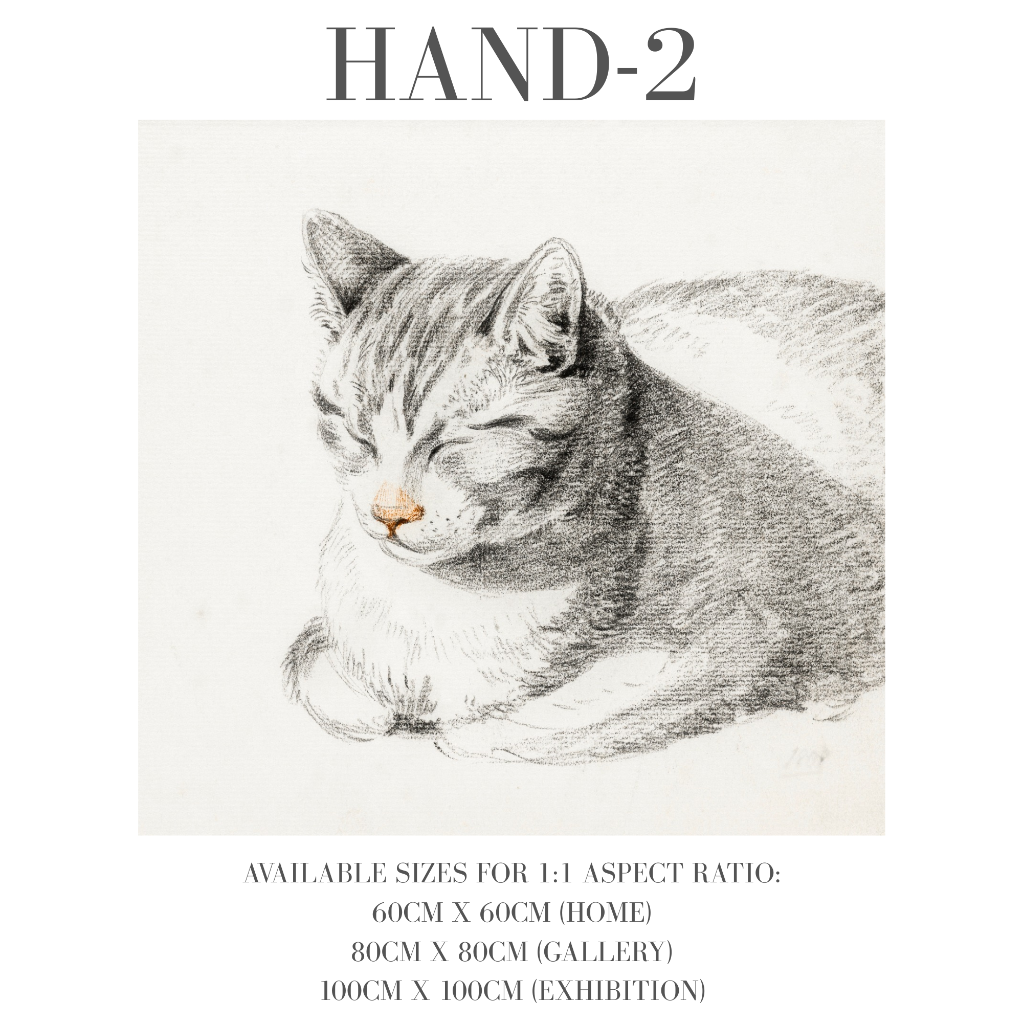 Hand Drawn