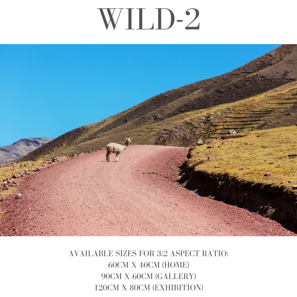 Wildlife