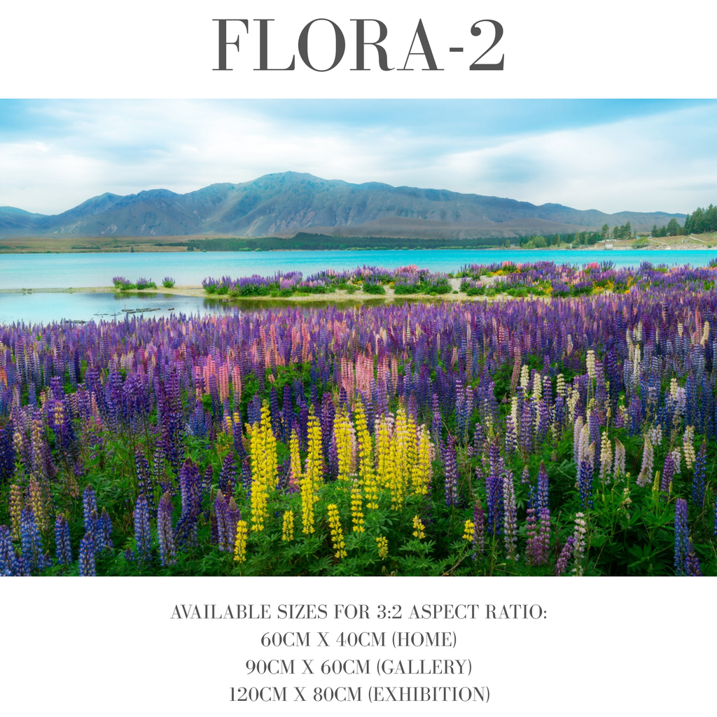Flora