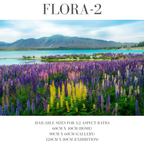 Flora