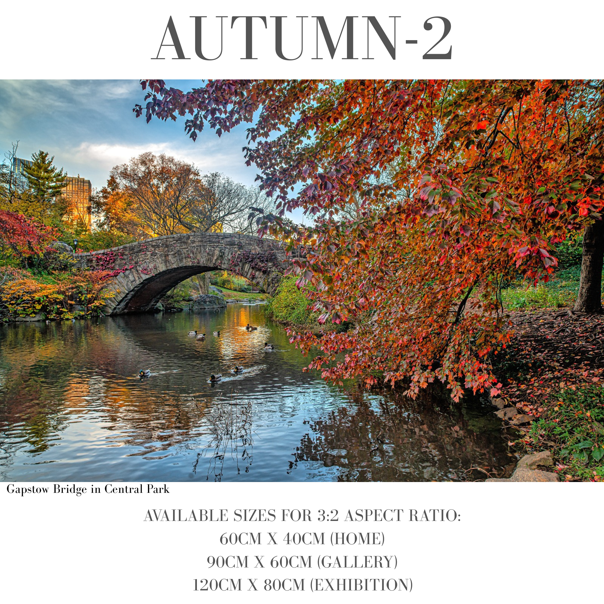 Autumn