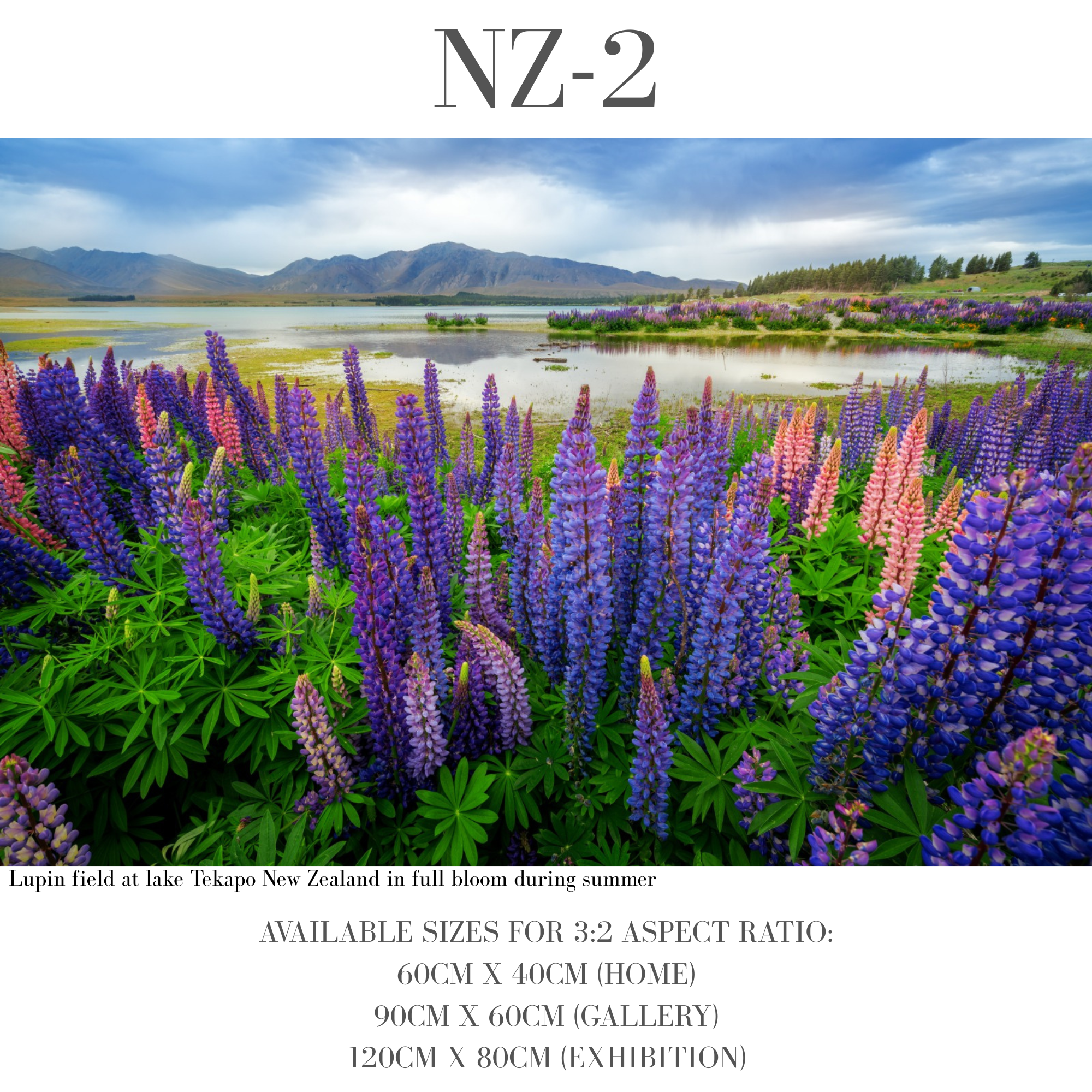 New Zealand