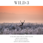 Wildlife