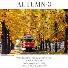 Autumn
