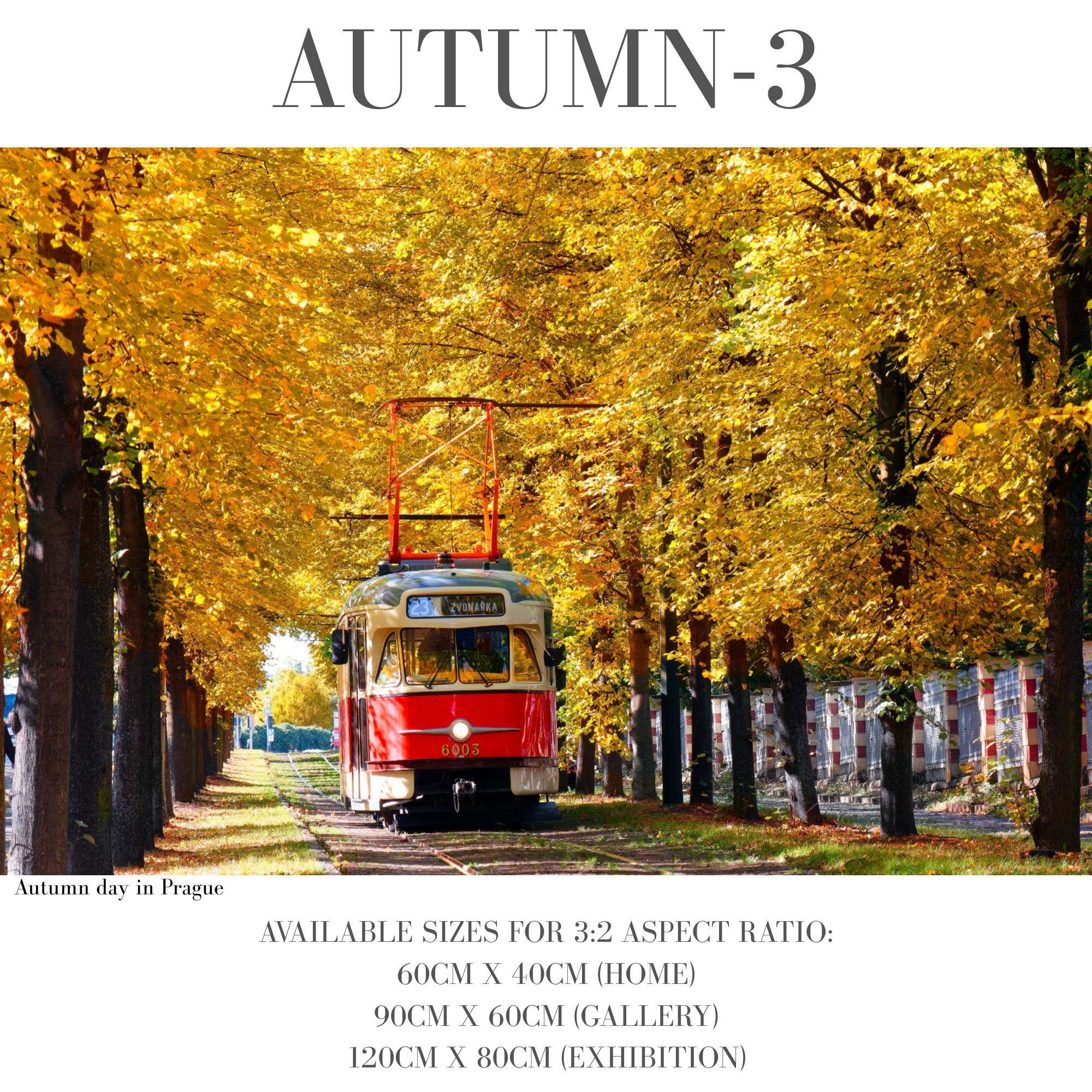 Autumn