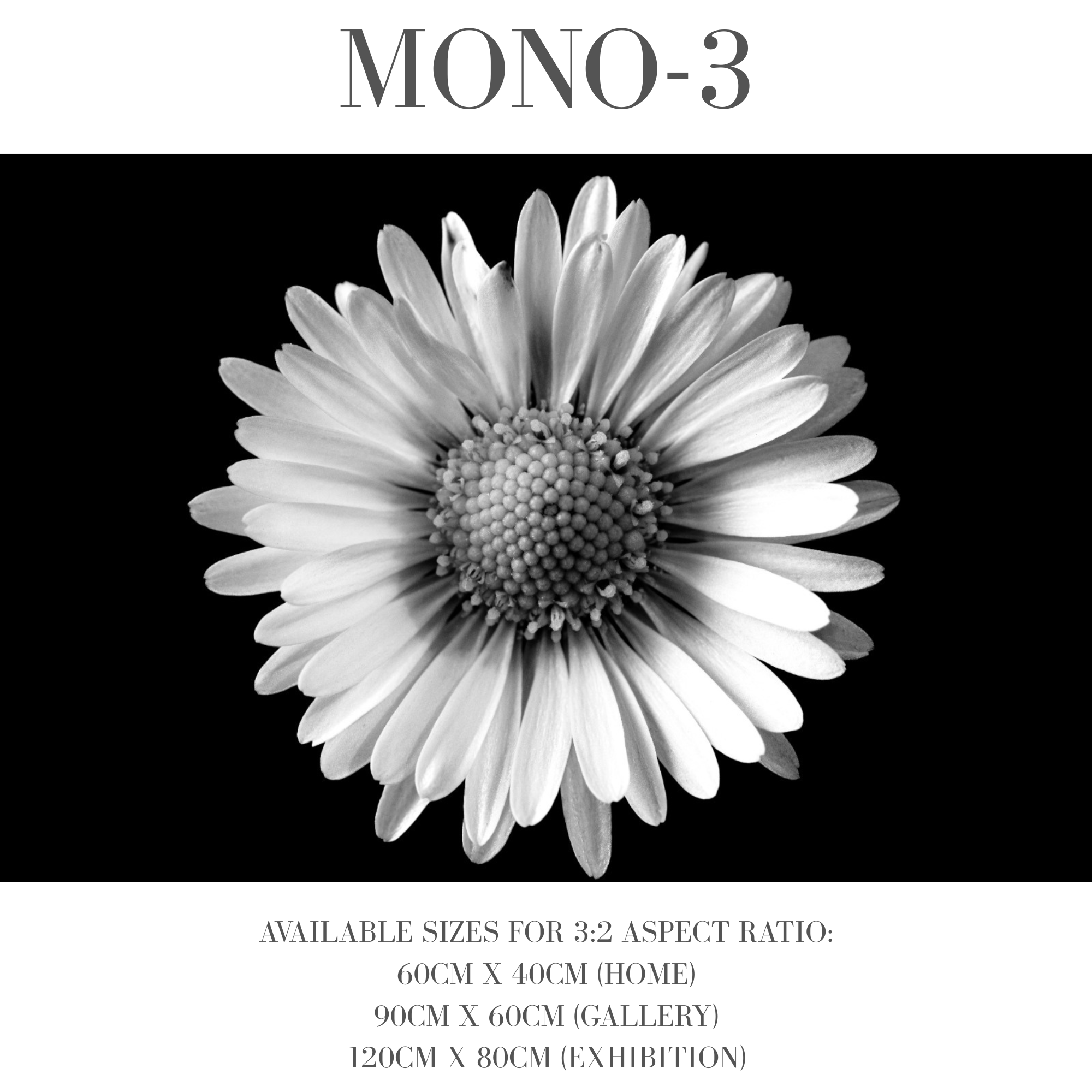 Monochrome