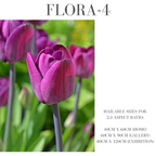 Flora