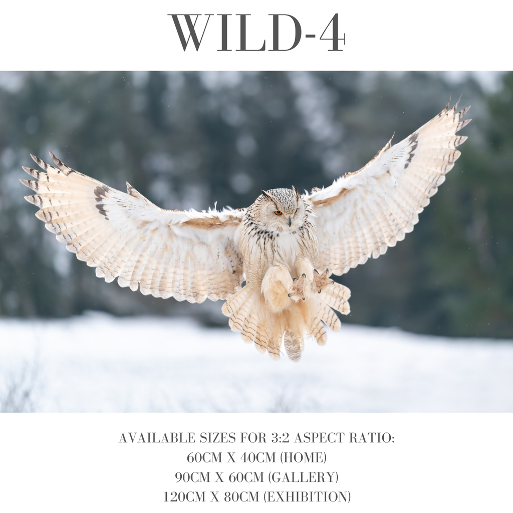 Wildlife