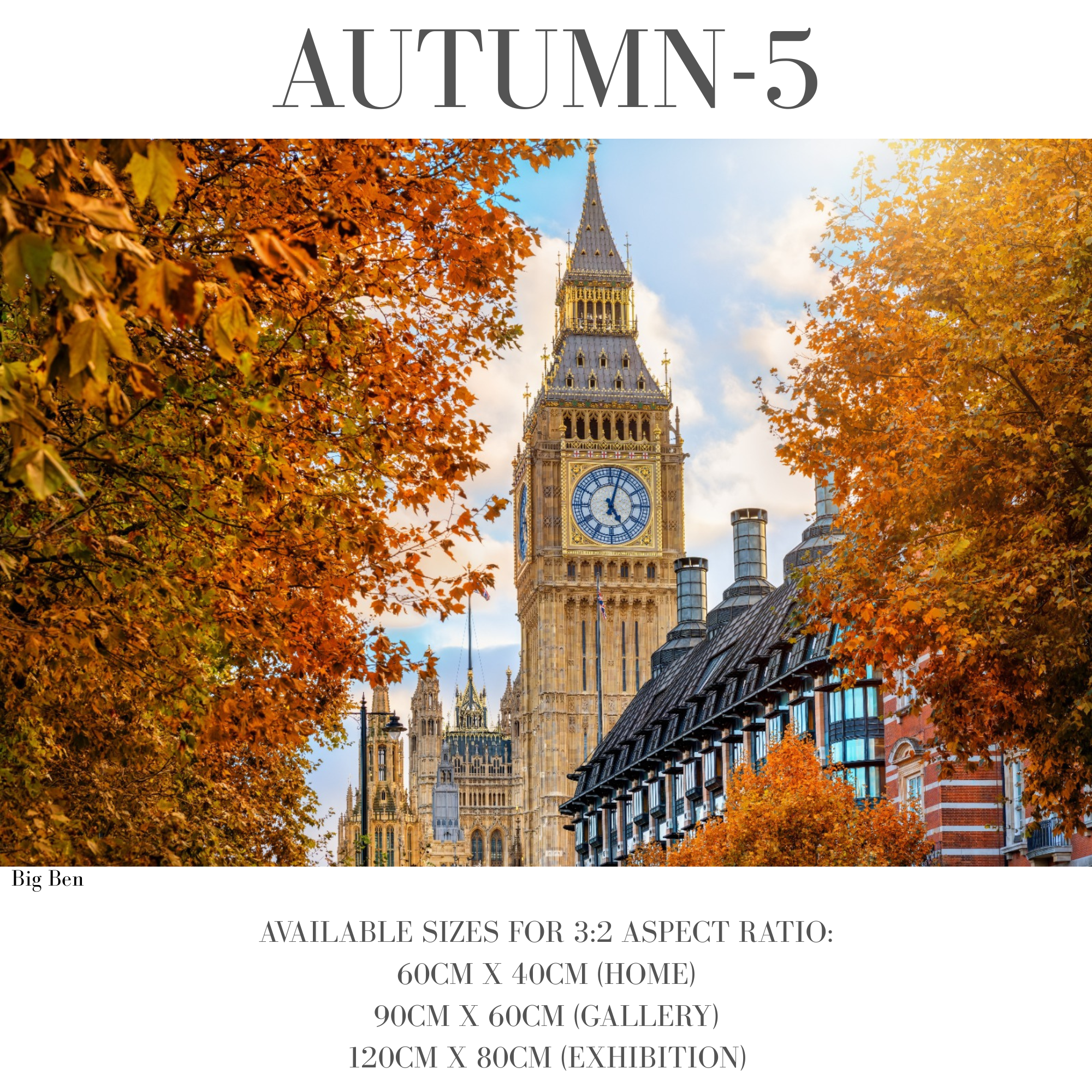 Autumn