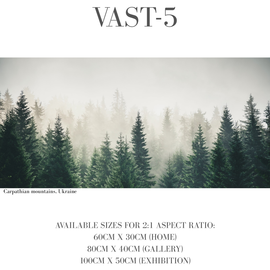 Vastness