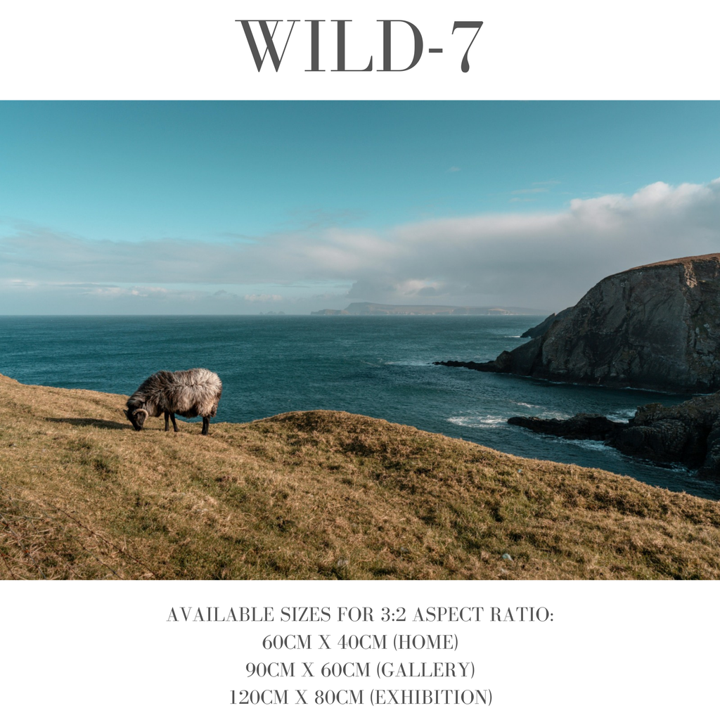 Wildlife