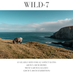 Wildlife