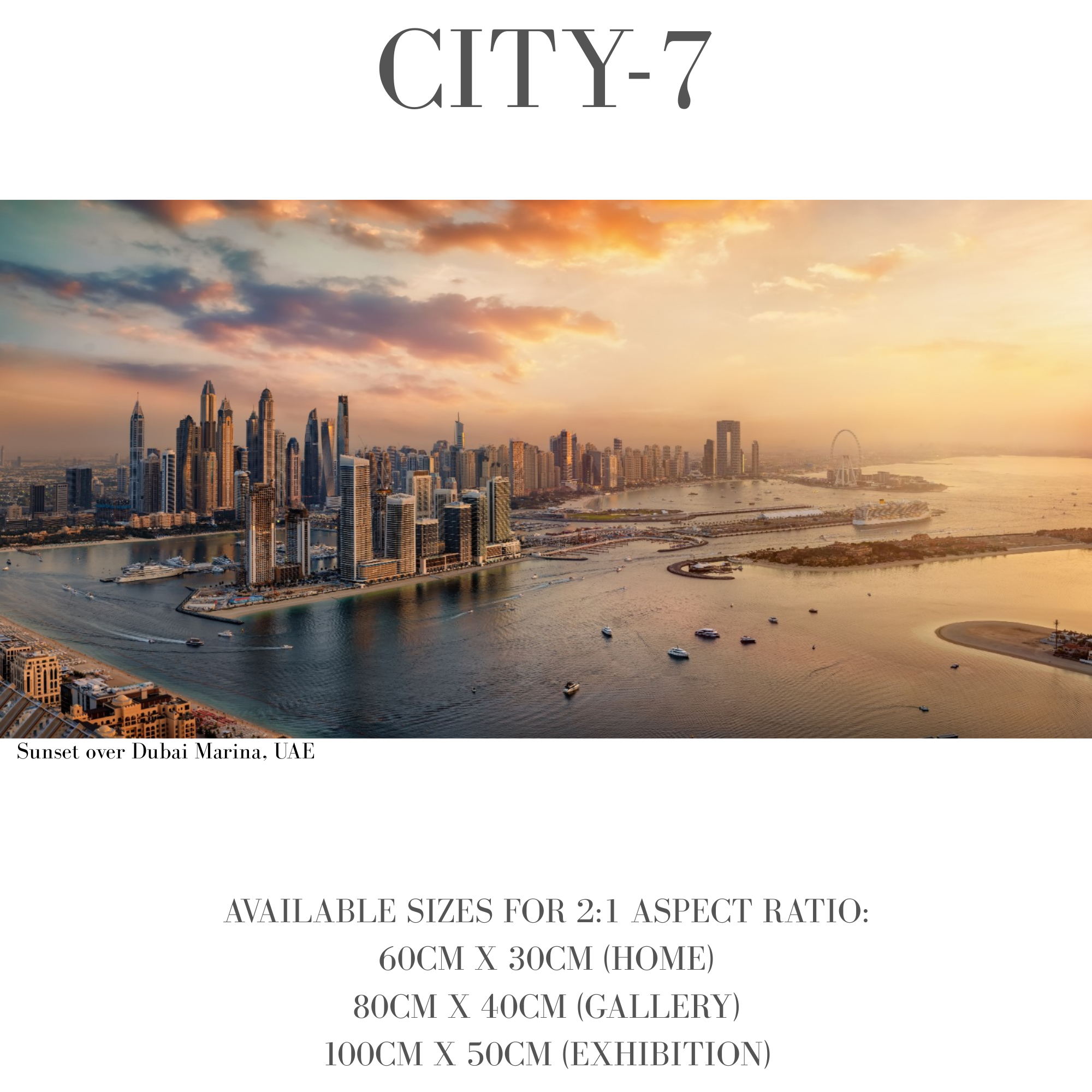 Vibrant Cities
