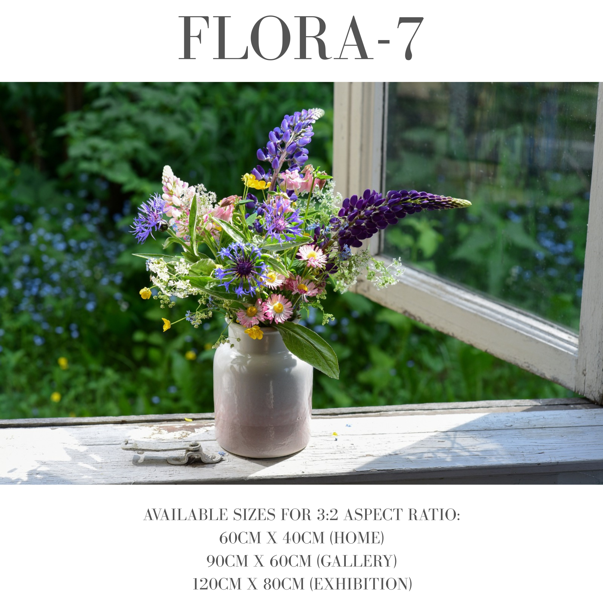 Flora