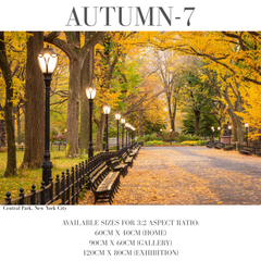 Autumn