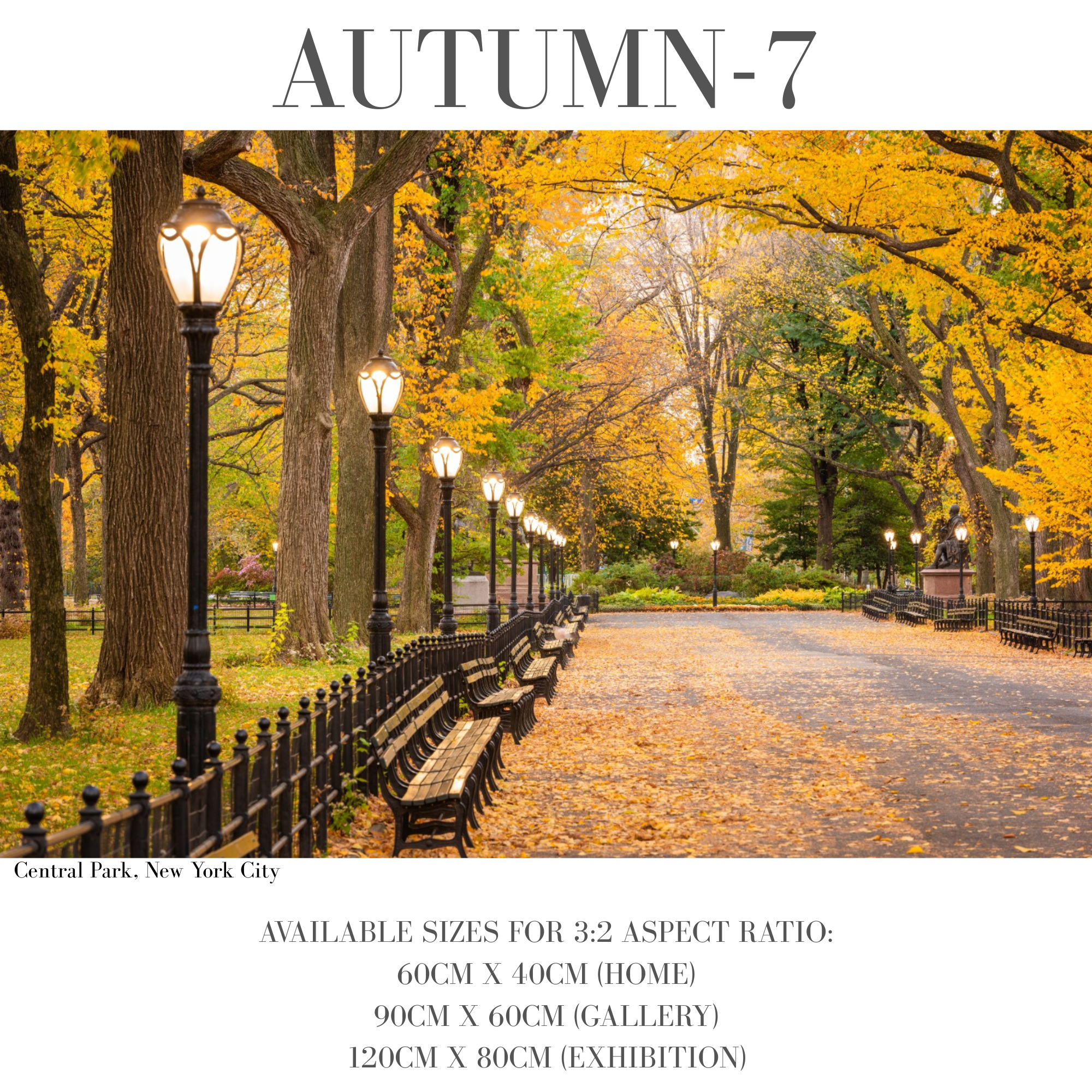 Autumn
