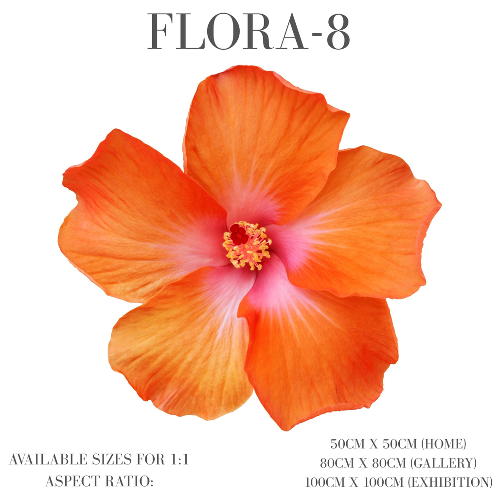 Flora