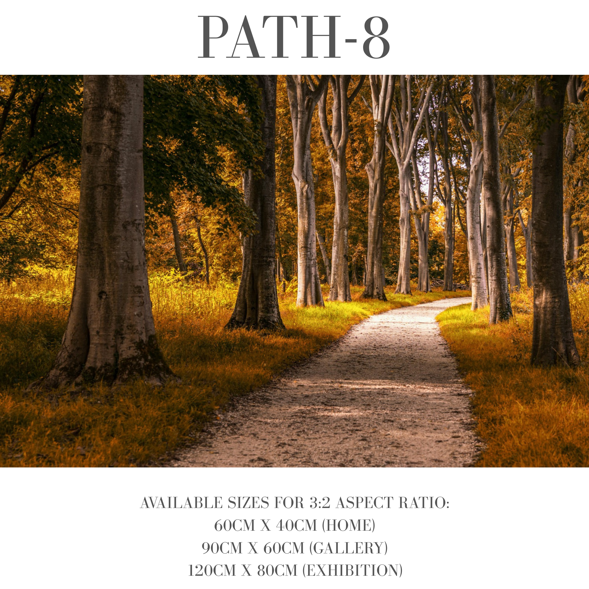 Path