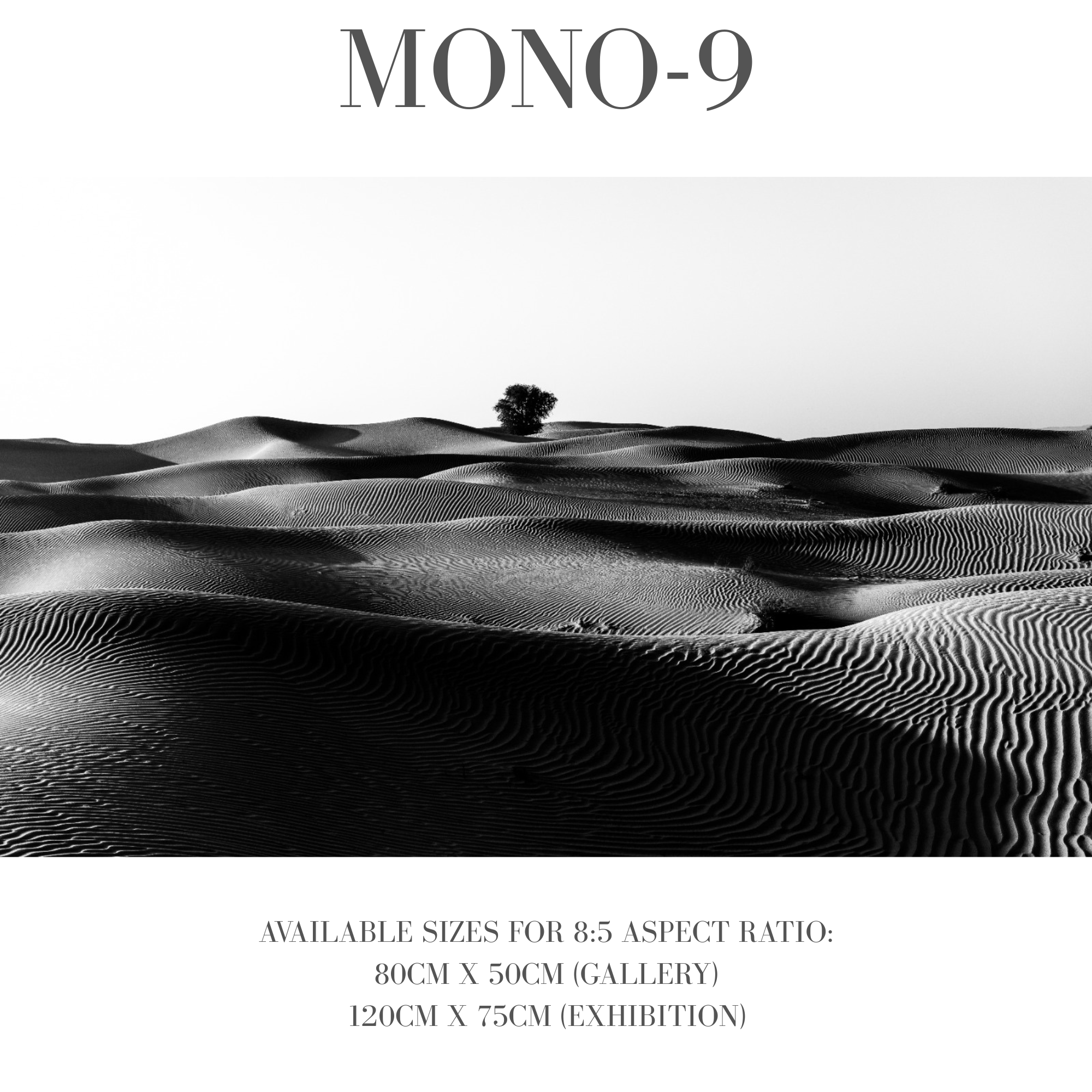 Monochrome